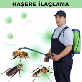 Baykan Böcek İlaçlama